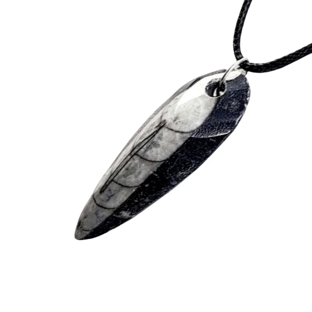 Genuine Fossilized Orthoceras Pendant w/ Black Cord Necklace | NWOT